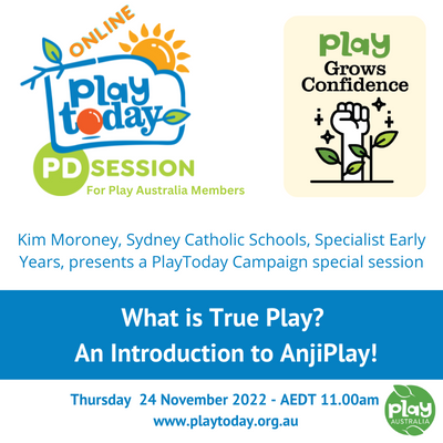 Play Australia PD session, What is True Play? With Kim Moroney